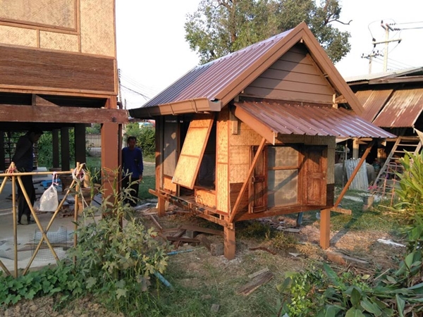 บ้านแมว บ้านแมว