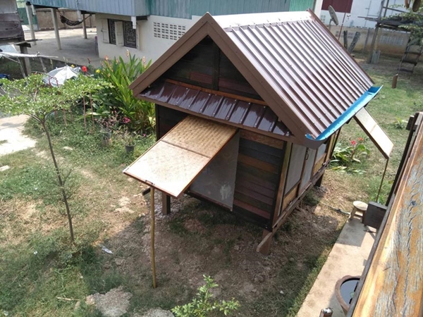 บ้านแมว บ้านแมว