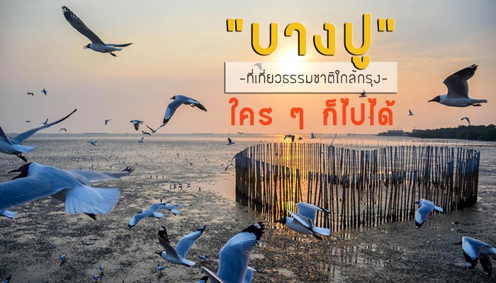 บางปู บางปู