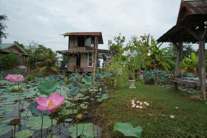ที่เที่ยวสวนบัว ที่เที่ยวสวนบัว