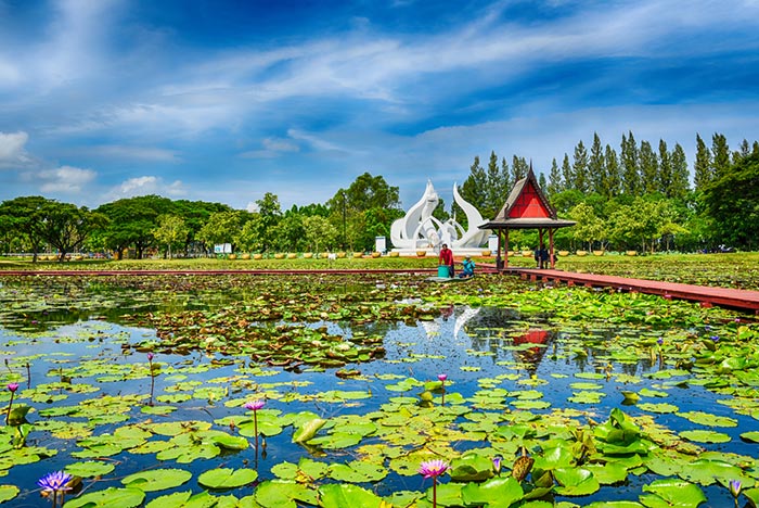 ที่เที่ยวสวนบัว ที่เที่ยวสวนบัว