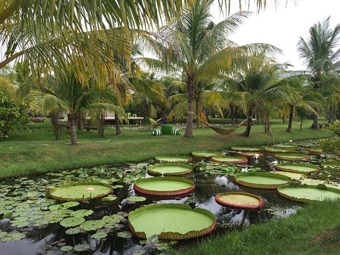 ที่เที่ยวสวนบัว ที่เที่ยวสวนบัว