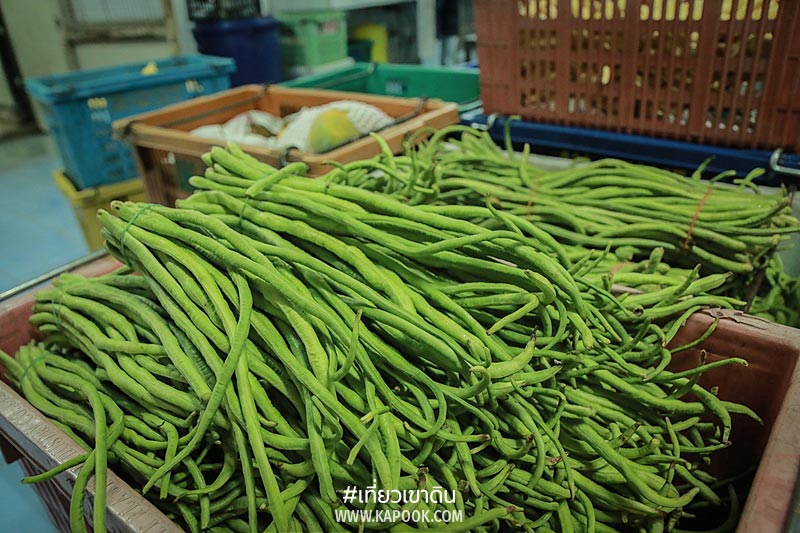 เส้นทางอาหารสัตว์ เส้นทางอาหารสัตว์