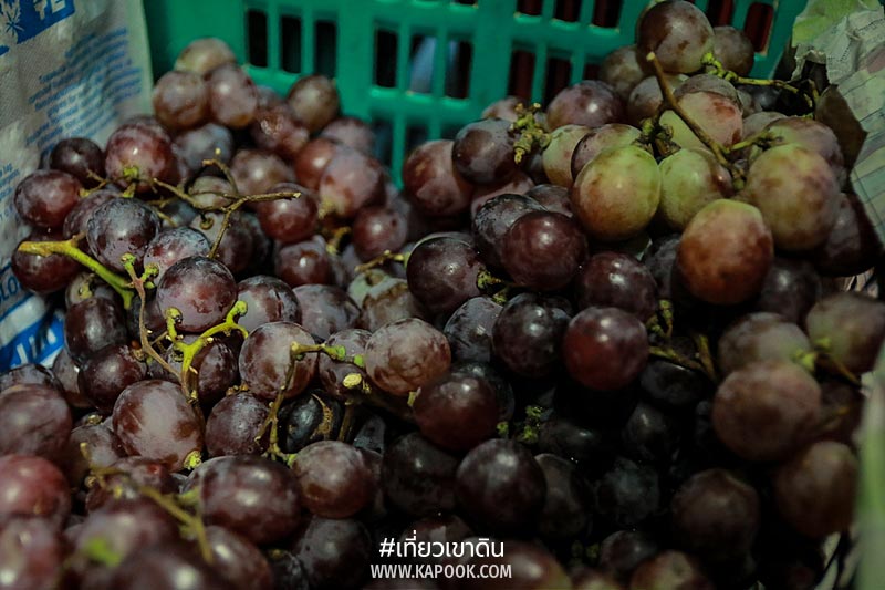เส้นทางอาหารสัตว์ เส้นทางอาหารสัตว์