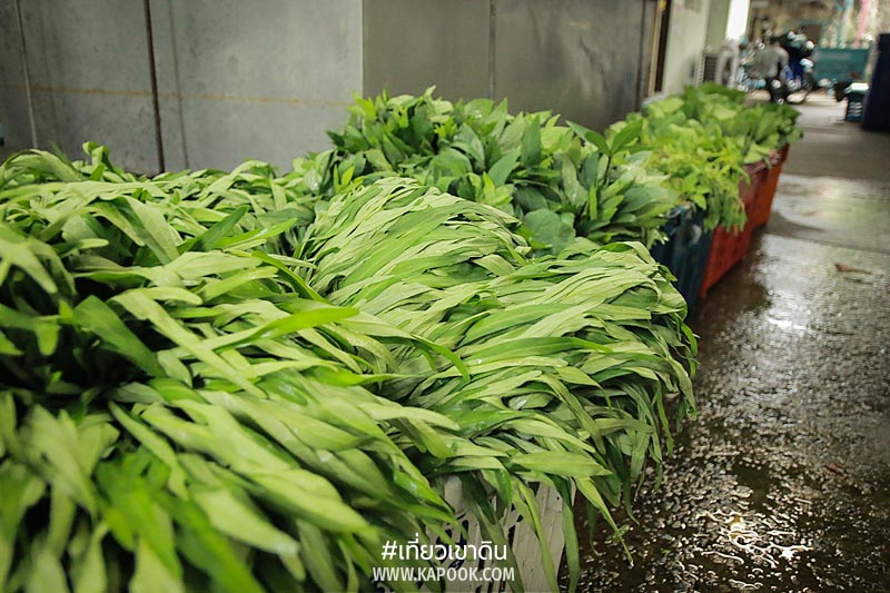 เส้นทางอาหารสัตว์ เส้นทางอาหารสัตว์