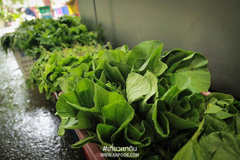 เส้นทางอาหารสัตว์ เส้นทางอาหารสัตว์