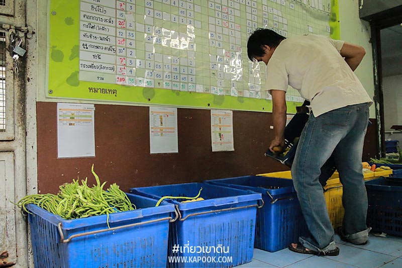 เส้นทางอาหารสัตว์ เส้นทางอาหารสัตว์