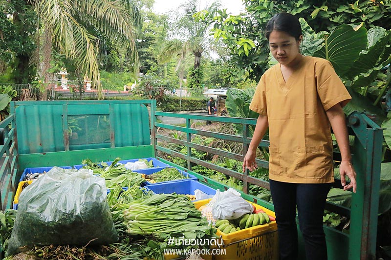 เส้นทางอาหารสัตว์ เส้นทางอาหารสัตว์