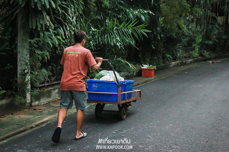 เส้นทางอาหารสัตว์ เส้นทางอาหารสัตว์