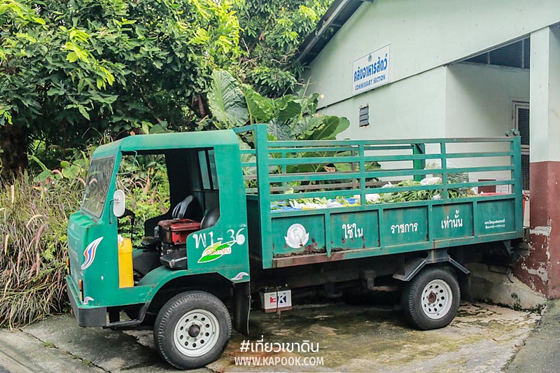 เส้นทางอาหารสัตว์ เส้นทางอาหารสัตว์