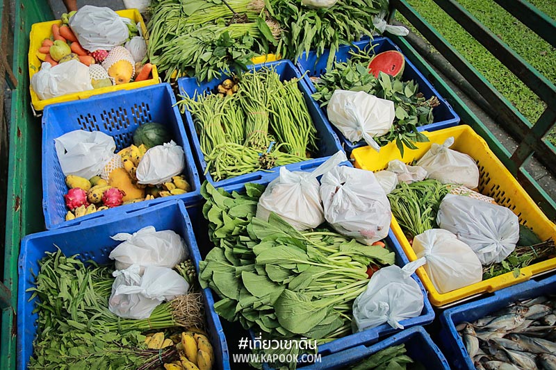 เส้นทางอาหารสัตว์ เส้นทางอาหารสัตว์