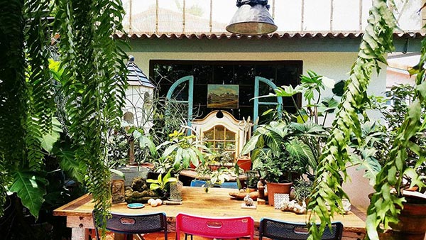 ร้านกาแฟในสวน ร้านกาแฟในสวน