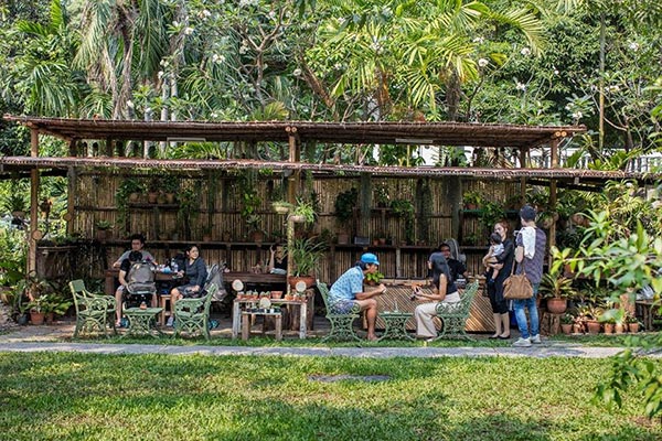 ร้านกาแฟในสวน ร้านกาแฟในสวน