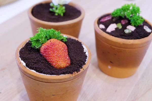 ร้านกาแฟในสวน ร้านกาแฟในสวน