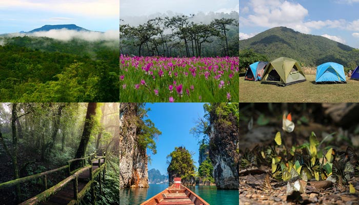 ที่เที่ยวอุทยานแห่งชาติหน้าฝน ที่เที่ยวอุทยานแห่งชาติหน้าฝน