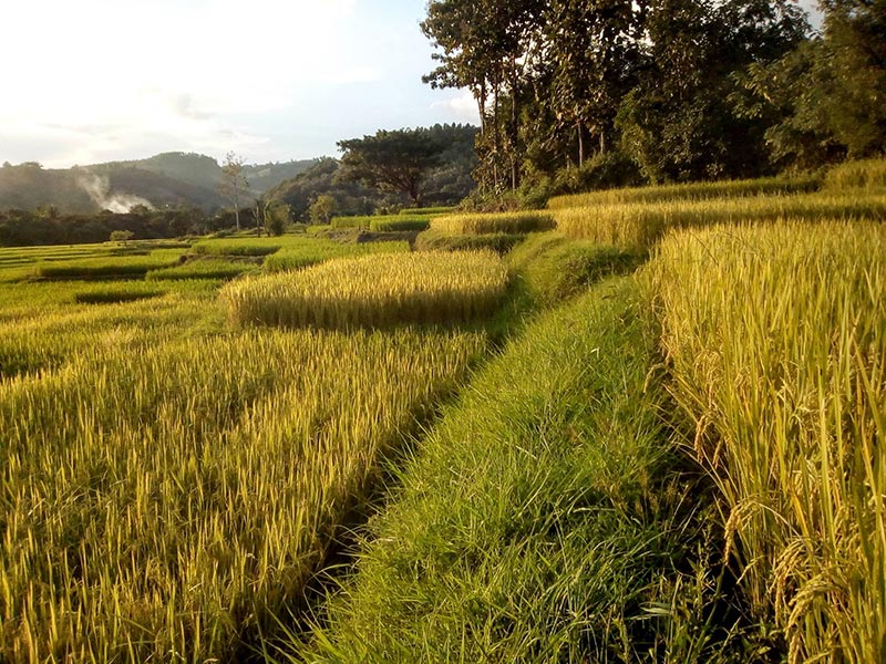 ที่เที่ยวไทยสวย ๆ ที่เที่ยวไทยสวย ๆ