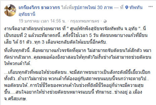 ช่างตัดขนหมาจิตอาสา ตัดขนสุนัขจรจัด 81 ตัว ช่างตัดขนหมาจิตอาสา ตัดขนสุนัขจรจัด 81 ตัว
