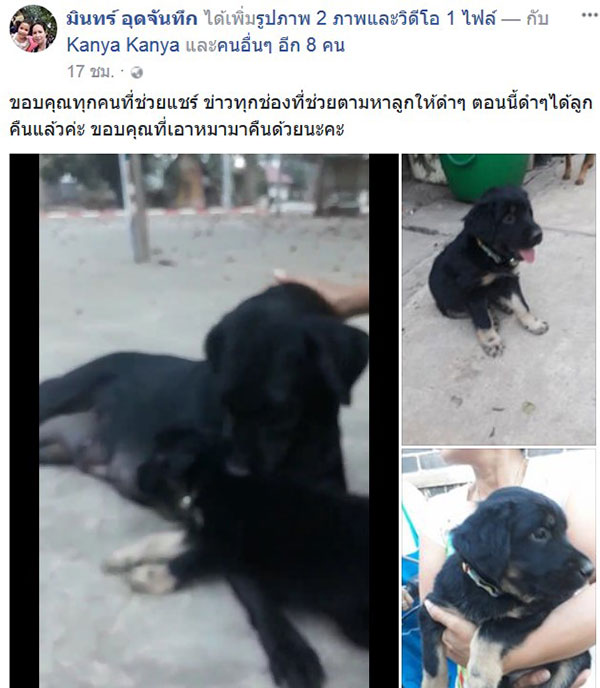 คลิปสุนัขแม่ลูกอ่อน ดีใจเจอหน้าลูกหมาที่ถูกพราก คลิปสุนัขแม่ลูกอ่อน ดีใจเจอหน้าลูกหมาที่ถูกพราก