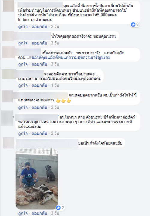 ช่างตัดขนหมาจิตอาสา ตัดขนสุนัขจรจัด 81 ตัว ช่างตัดขนหมาจิตอาสา ตัดขนสุนัขจรจัด 81 ตัว