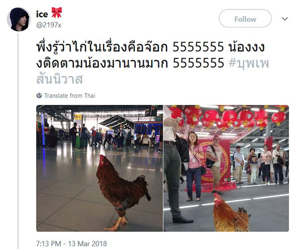 เปิดโปรไฟล์ ไอ้เหลือง ไก่คู่ใจจ้อย ในบุพเพสันนิวาส นอกจอเซเลบมาก เปิดโปรไฟล์ ไอ้เหลือง ไก่คู่ใจจ้อย ในบุพเพสันนิวาส นอกจอเซเลบมาก