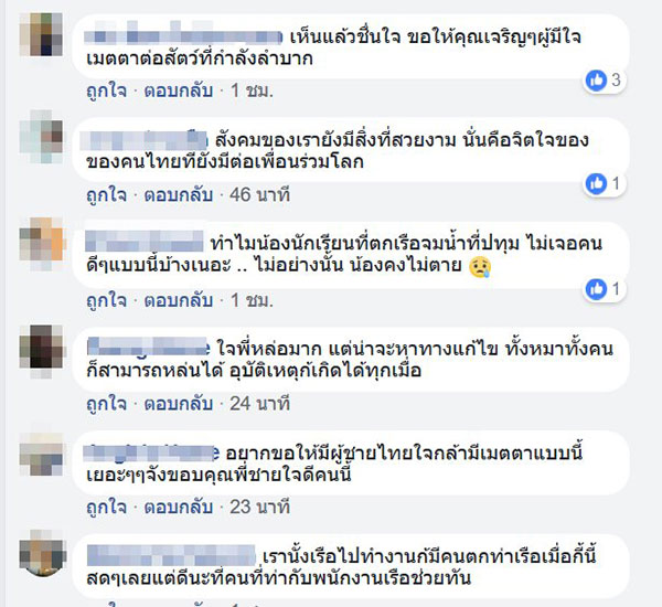 หนุ่มฮีโร่กระโดดช่วยหมาแก่ตกคลองแสนแสบ หนุ่มฮีโร่กระโดดช่วยหมาแก่ตกคลองแสนแสบ