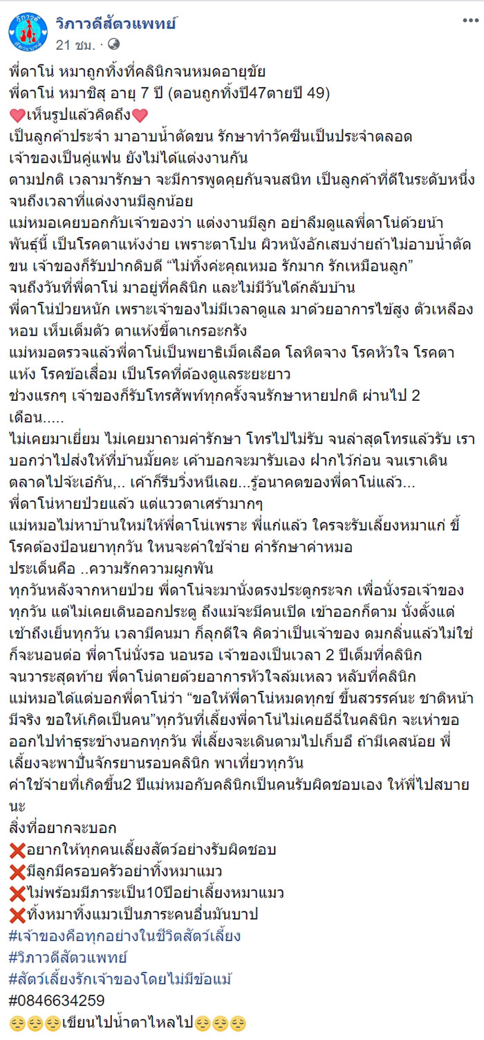 ดาโน่ หมาถูกทิ้ง ดาโน่ หมาถูกทิ้ง