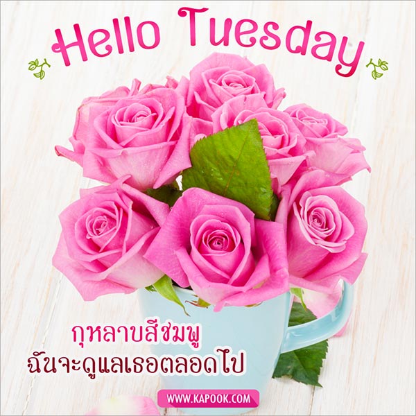 ดูดวงรายวัน ดูดวงรายวัน