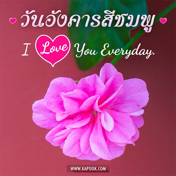 ดูดวงรายวัน ดูดวงรายวัน