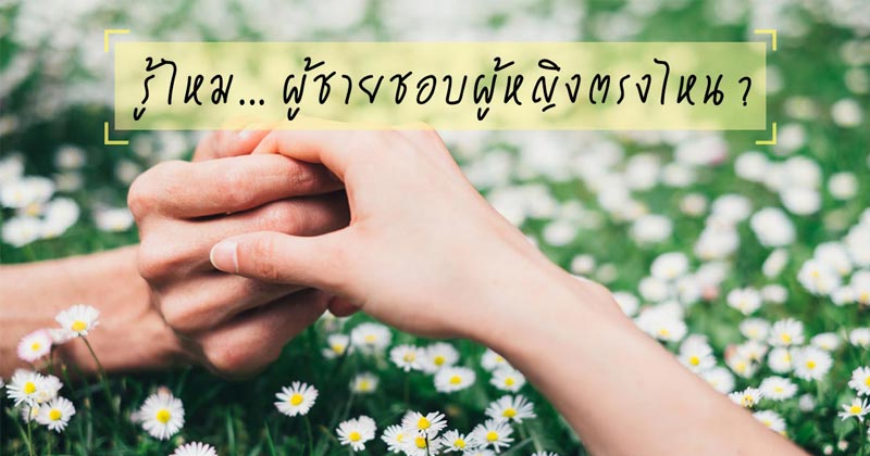 เสน่ห์ของผู้หญิง เสน่ห์ของผู้หญิง