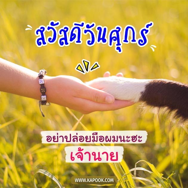 ดูดวงรายวัน ดูดวงรายวัน