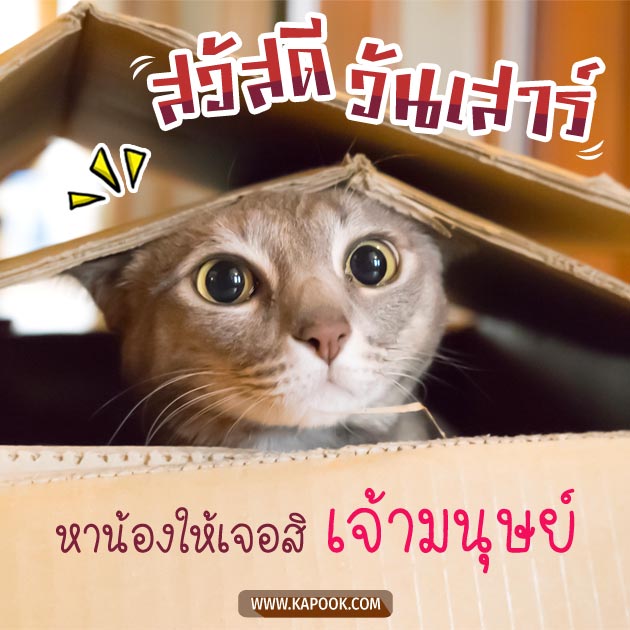 ดูดวงรายวัน ดูดวงรายวัน
