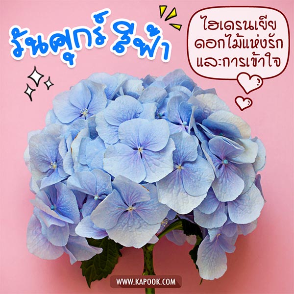 ดูดวงรายวัน ดูดวงรายวัน
