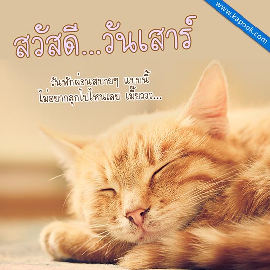 ดูดวงรายวัน ดูดวงรายวัน