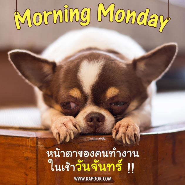 ดูดวงรายวัน ดูดวงรายวัน