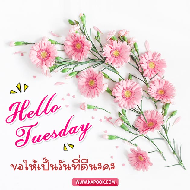 ดูดวงรายวัน ดูดวงรายวัน