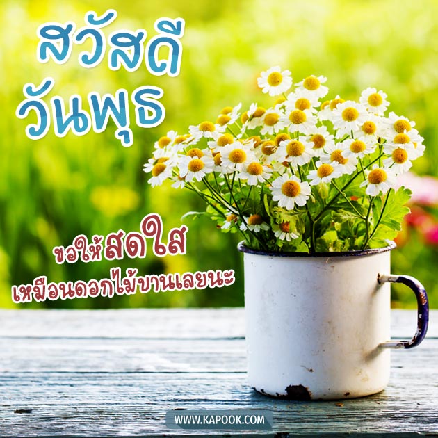 ดูดวงรายวัน ดูดวงรายวัน