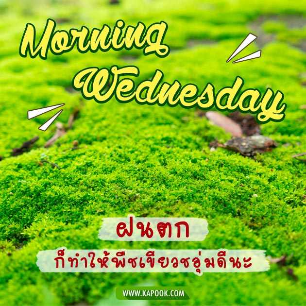 ดูดวงรายวัน ดูดวงรายวัน