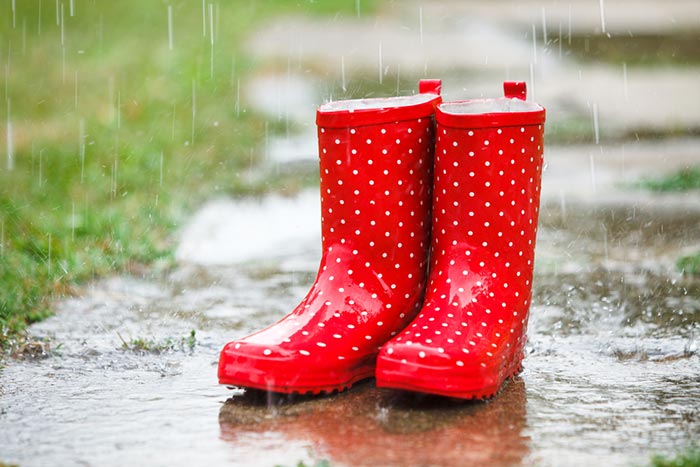 หน้าฝนขายอะไรดี หน้าฝนขายอะไรดี
