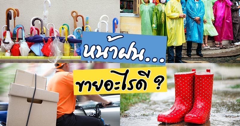 หน้าฝนขายอะไรดี หน้าฝนขายอะไรดี