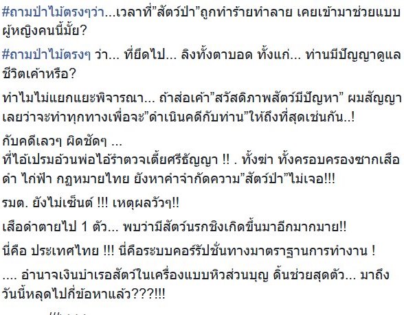 หญิงช่วยลิงพ้นจากความตาย กลับถูกแจ้งจับ หญิงช่วยลิงพ้นจากความตาย กลับถูกแจ้งจับ