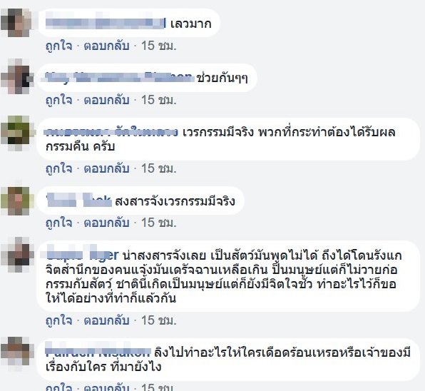 หญิงช่วยลิงพ้นจากความตาย กลับถูกแจ้งจับ หญิงช่วยลิงพ้นจากความตาย กลับถูกแจ้งจับ