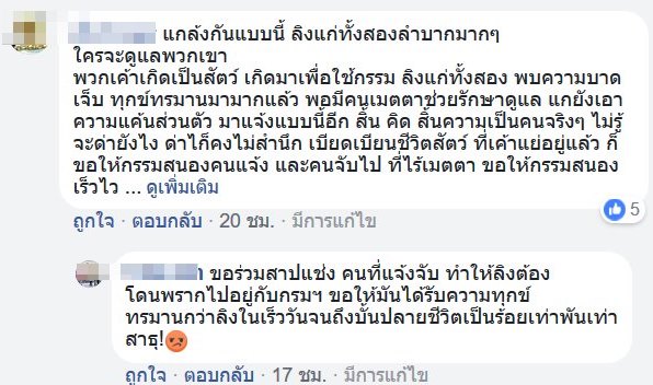 หญิงช่วยลิงพ้นจากความตาย กลับถูกแจ้งจับ หญิงช่วยลิงพ้นจากความตาย กลับถูกแจ้งจับ