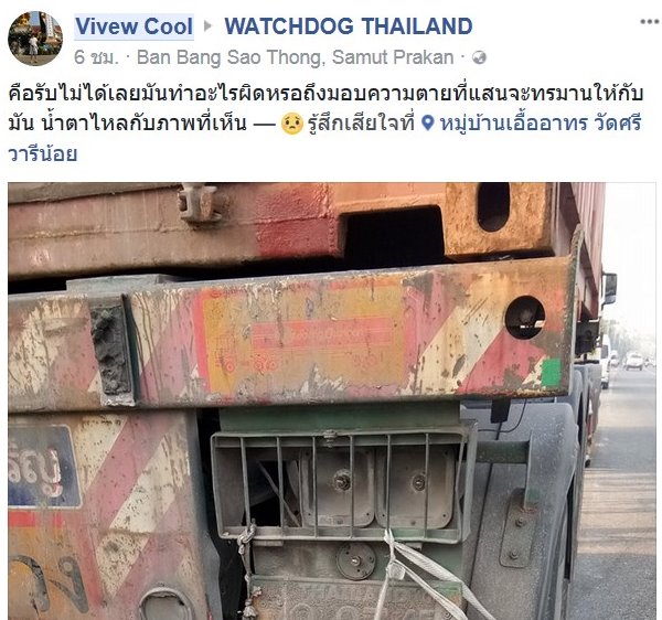 ทำร้ายสุนัข ทำร้ายสุนัข