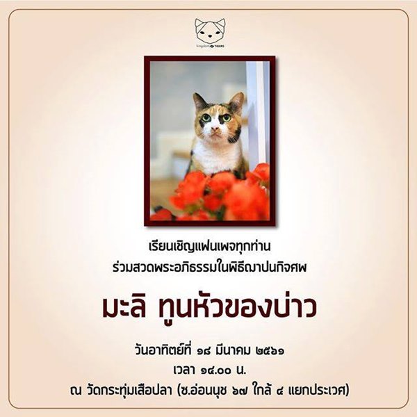 แม่มะลิ ทูนหัวของบ่าว แม่มะลิ ทูนหัวของบ่าว