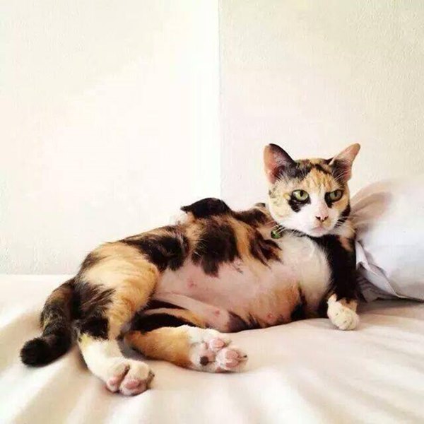 แม่มะลิ ทูนหัวของบ่าว แม่มะลิ ทูนหัวของบ่าว