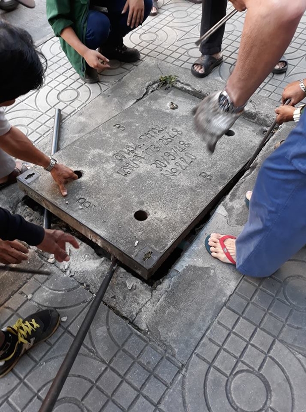 แมวหัวติดฝาท่อ แมวหัวติดฝาท่อ