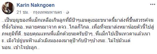 พี่แม็ก ไซบีเรียนแสนรู้ตายแล้ว พี่แม็ก ไซบีเรียนแสนรู้ตายแล้ว