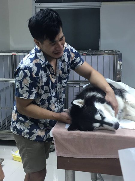พี่แม็ก ไซบีเรียนแสนรู้ตายแล้ว พี่แม็ก ไซบีเรียนแสนรู้ตายแล้ว