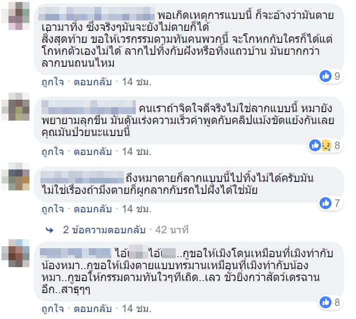 เก๋งลากหมา เก๋งลากหมา