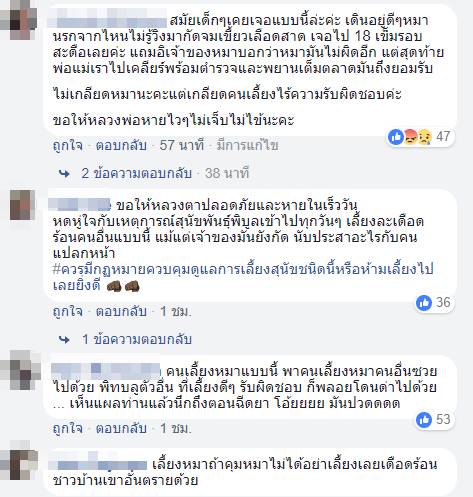 พิทบูลขย้ำพระ พิทบูลขย้ำพระ